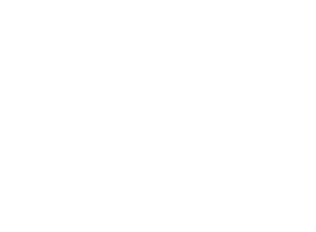 Code Bee Solutions