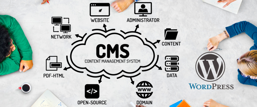 CMS Development